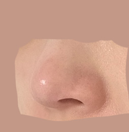 용코교정 반년지났슴다